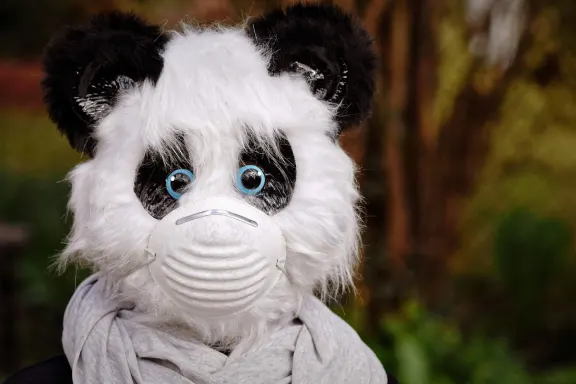 דאבליואאסטי קזינו תמיכה